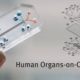 “Organs-on-a-Chip”