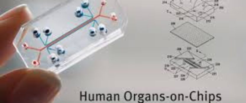 “Organs-on-a-Chip”