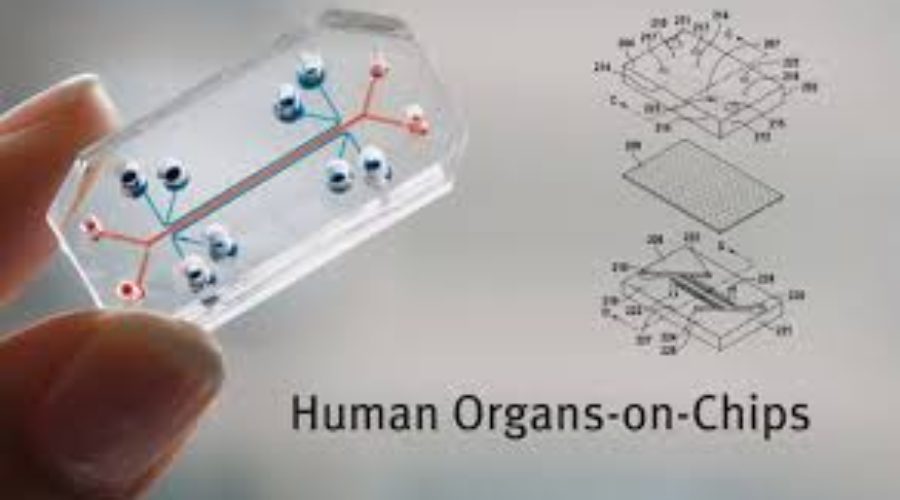 “Organs-on-a-Chip”